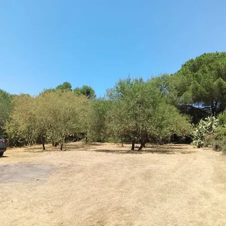 Verdina *