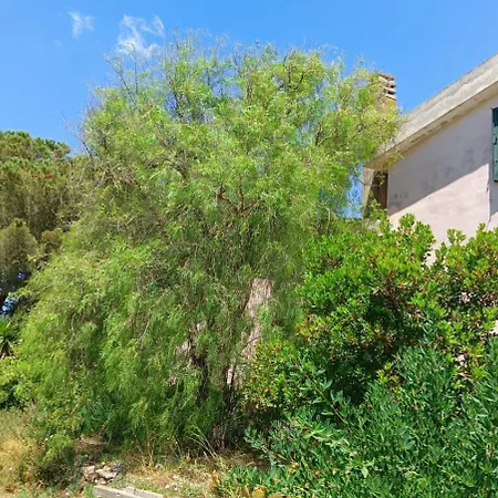 Verdina Holiday home Alghero